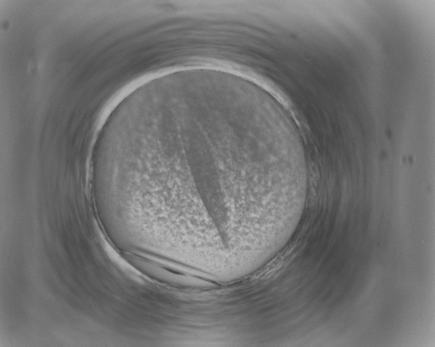 X0000082701535200702232217