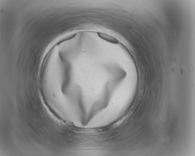 X0000082701536200702232217