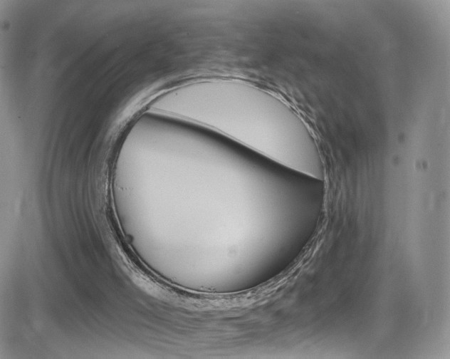 X0000082710005200701261006