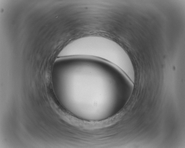 X0000082710039200701261006