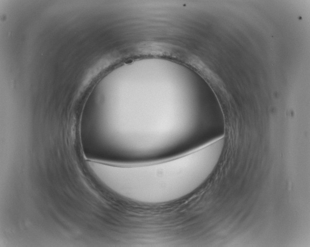 X0000082710064200701261005