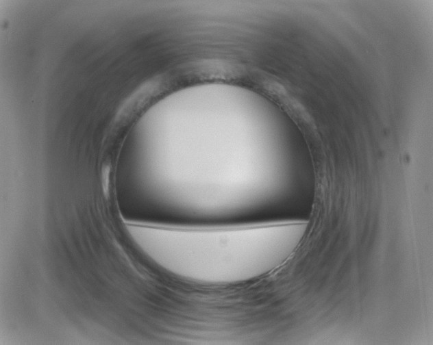 X0000082710070200701261005
