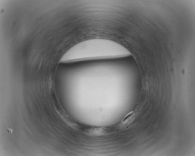 X0000082710086200701261006