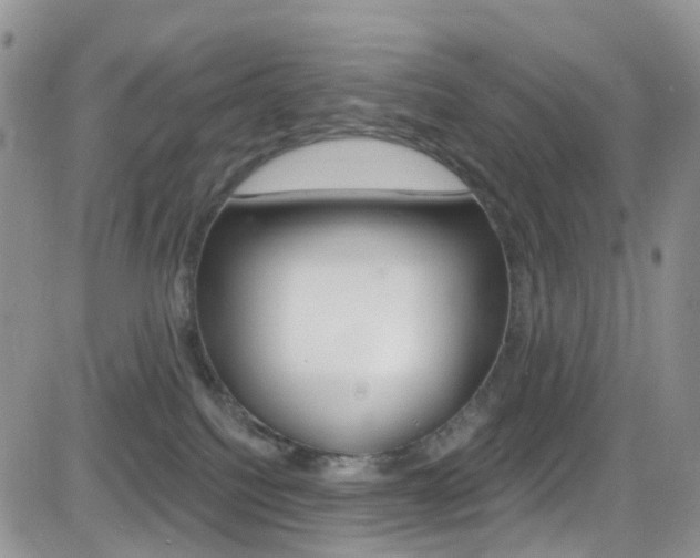 X0000082710088200701261006