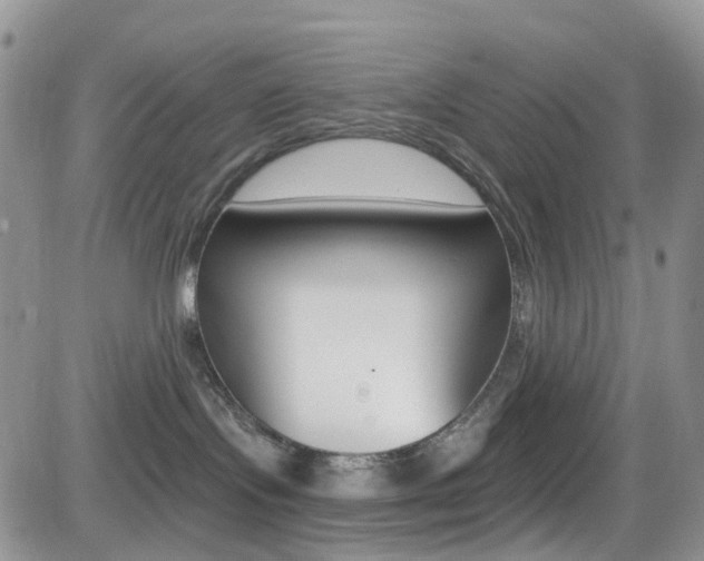 X0000082710095200701261006