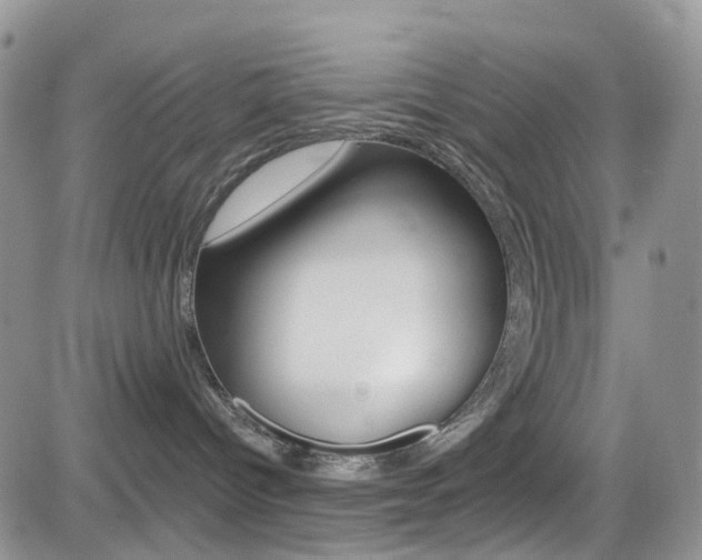 X0000082710096200701261006