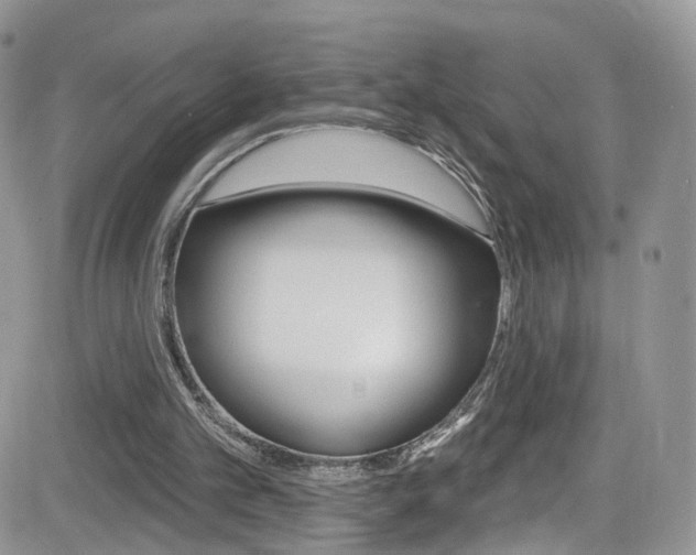 X0000082710101200701261005