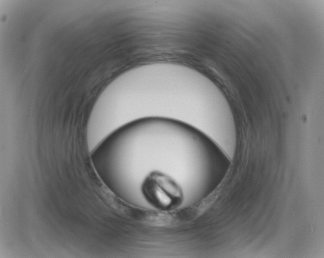 X0000082710125200701261005