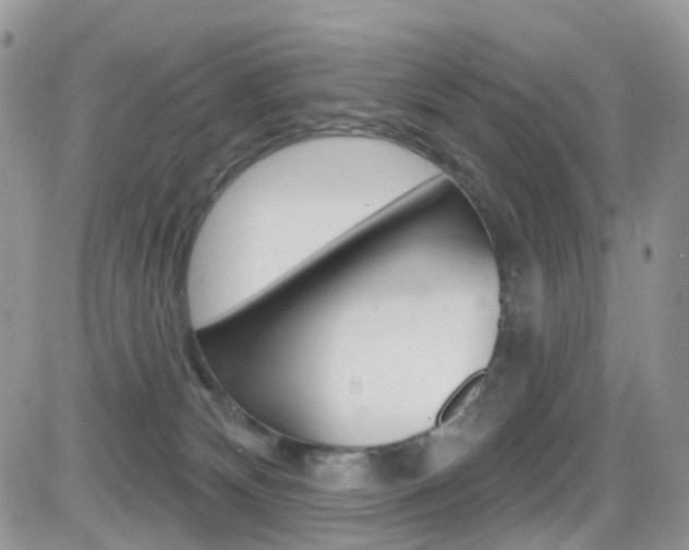 X0000082710132200701261004