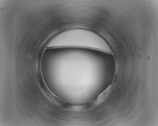 X0000082710158200701261004