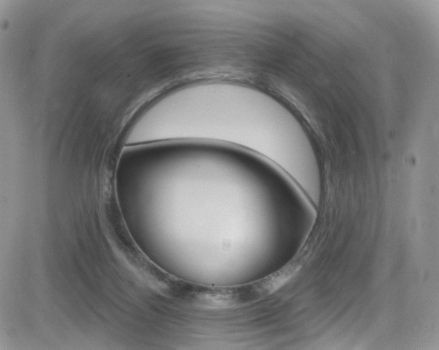 X0000082710164200701261004