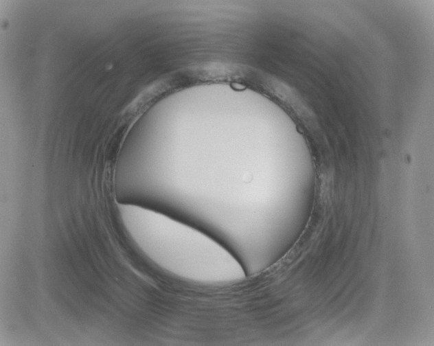 X0000082710165200701261004