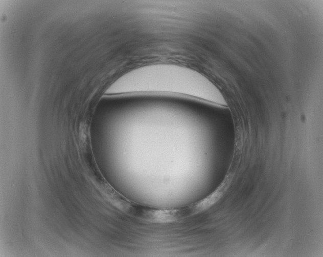 X0000082710184200701261004
