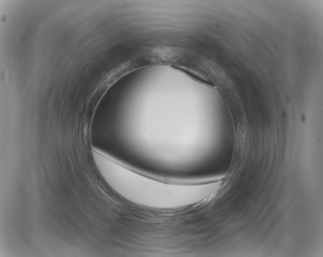 X0000082710188200701261004