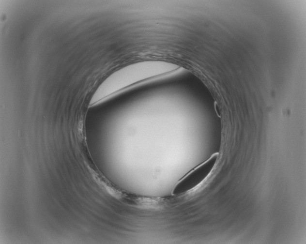 X0000082710192200701261004