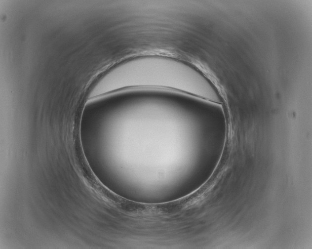 X0000082710201200701261003