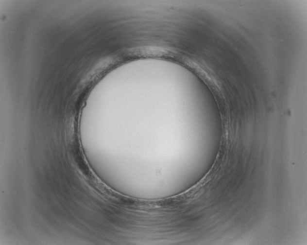 X0000082710206200701261003