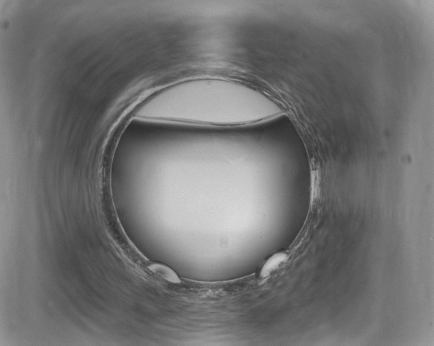 X0000082710243200701261002