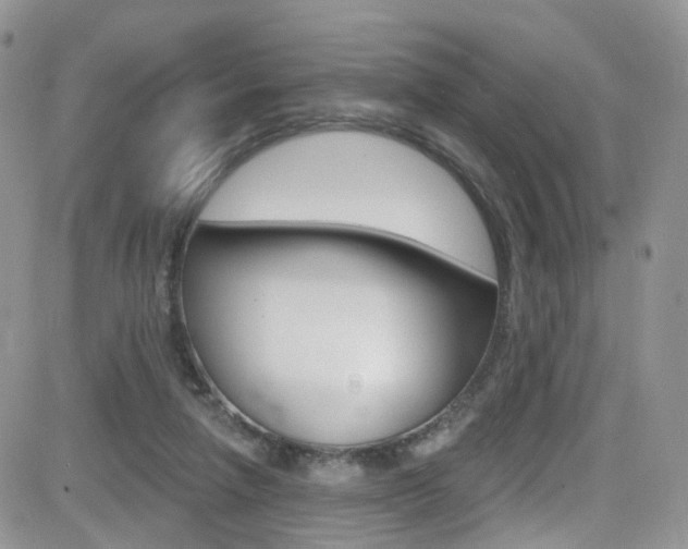 X0000082710258200701261002