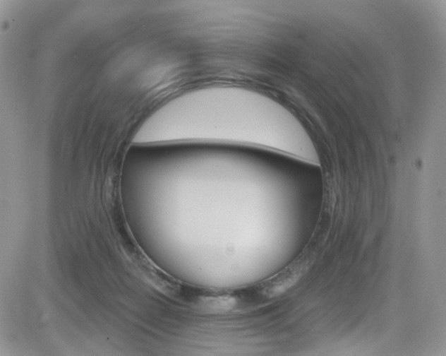 X0000082710266200701261002