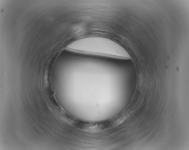 X0000082710267200701261002