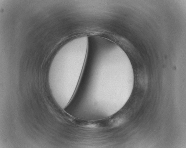 X0000082710312200701261001