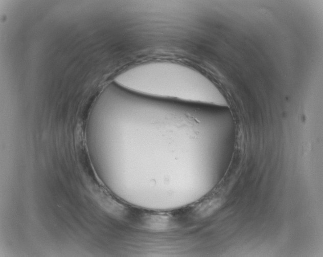 X0000082710318200701261001
