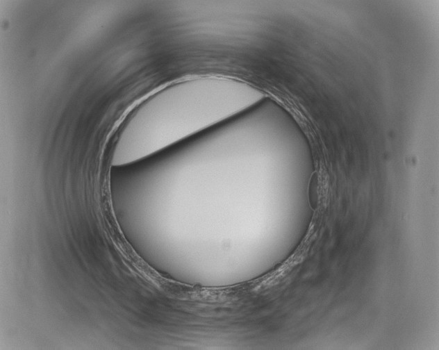 X0000082710338200701261000