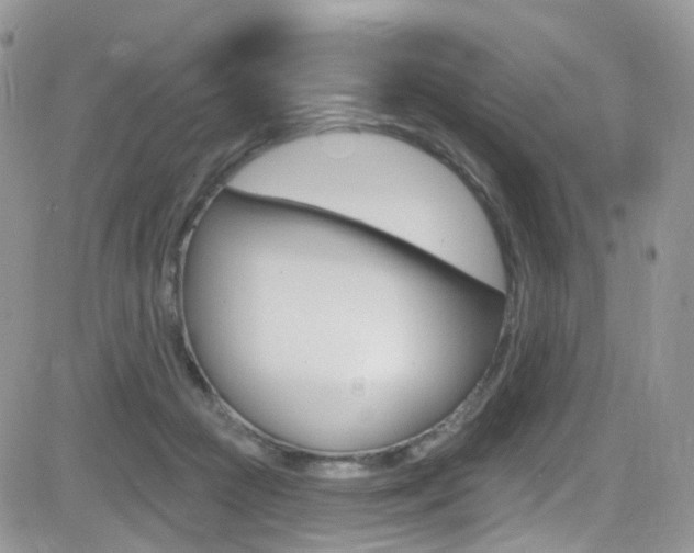 X0000082710361200701261001