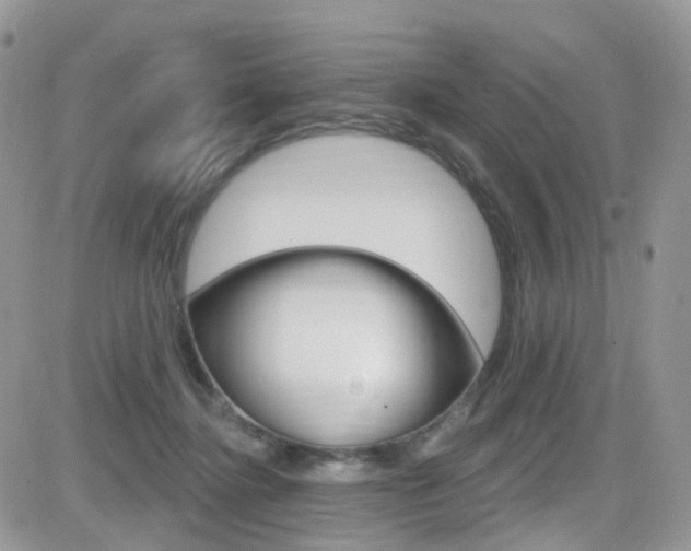 X0000082710364200701261001