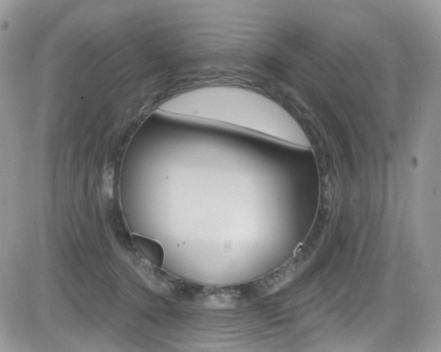 X0000082710368200701261001