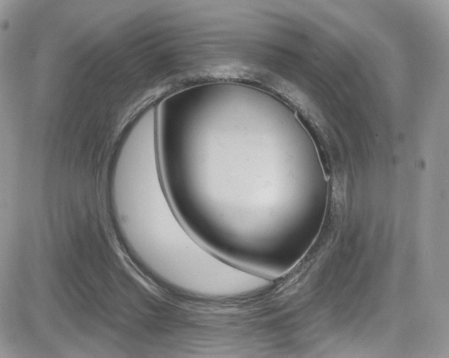 X0000082710397200701261000