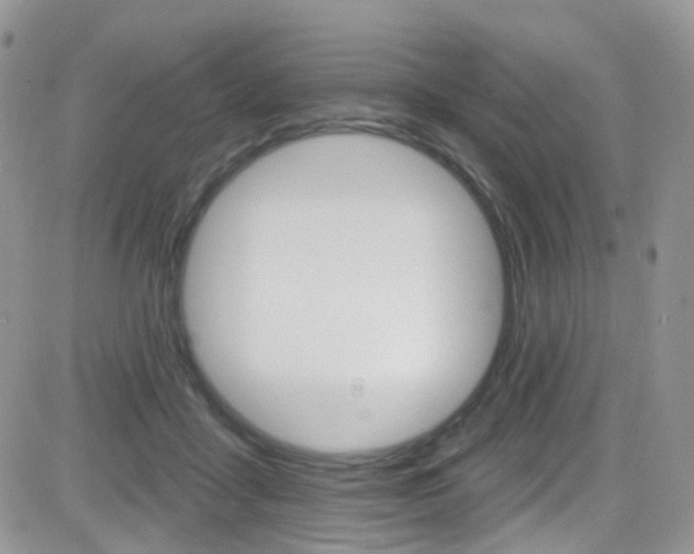 X0000082710411200701261000