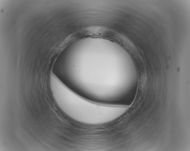 X0000082710413200701261000