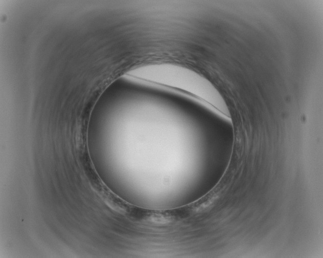 X0000082710416200701261000