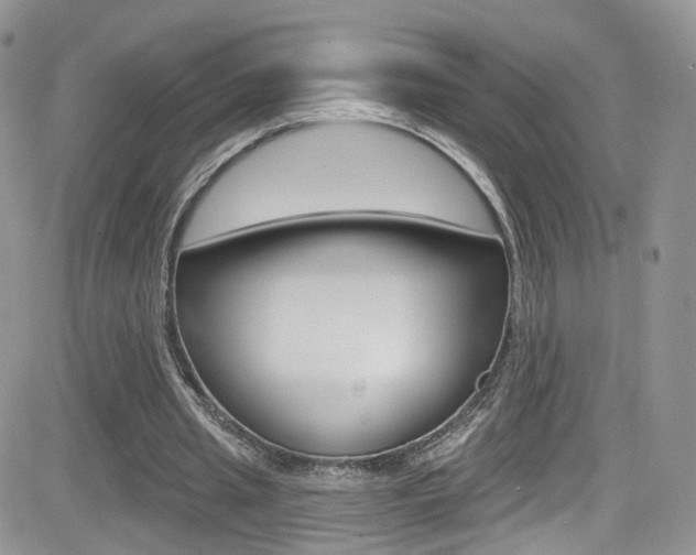 X0000082710437200701260959