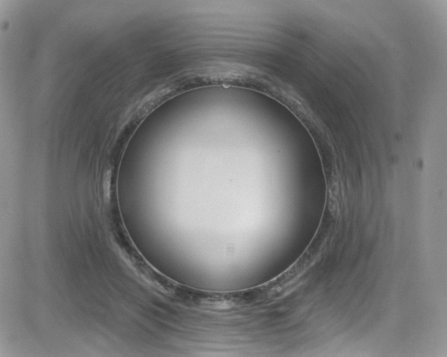 X0000082710454200701260959