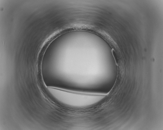 X0000082710488200701260959
