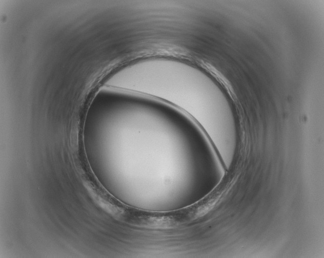 X0000082710493200701260959