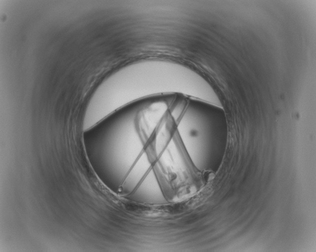 X0000082710504200701260958