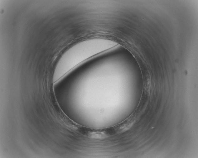 X0000082710508200701260958