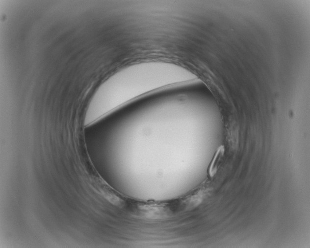 X0000082710516200701260958