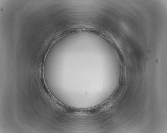 X0000082710545200701260957