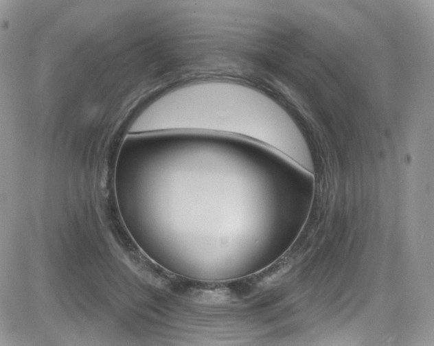 X0000082710548200701260957