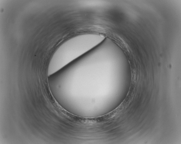 X0000082710549200701260958