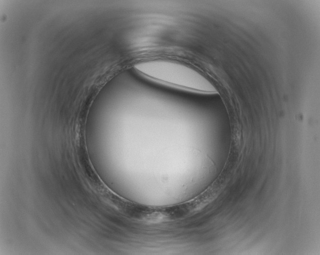 X0000082710551200701260958