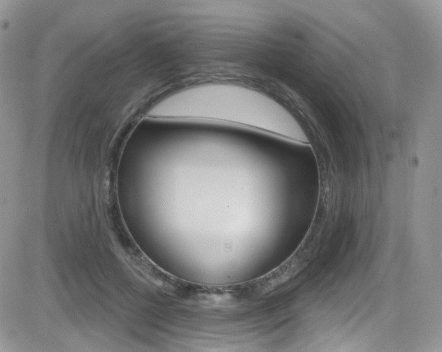 X0000082710552200701260958