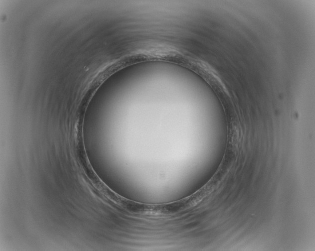 X0000082710596200701260957