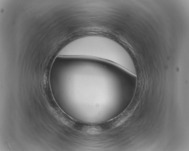 X0000082710597200701260957