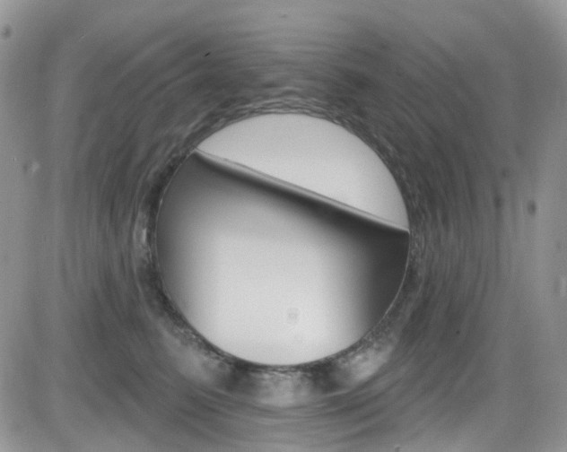X0000082710615200701260957